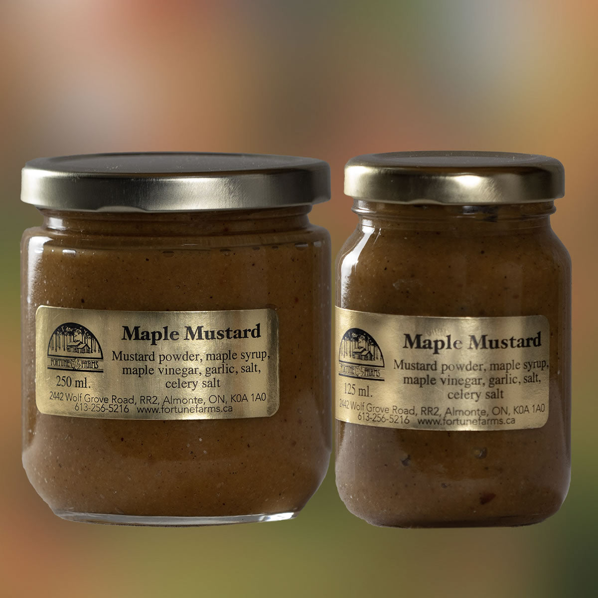 Maple Mustard