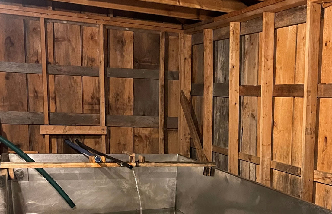 Sap is Running and a Special Visit