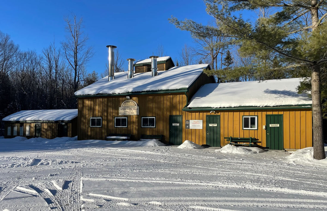 Winter at Fortune Farms