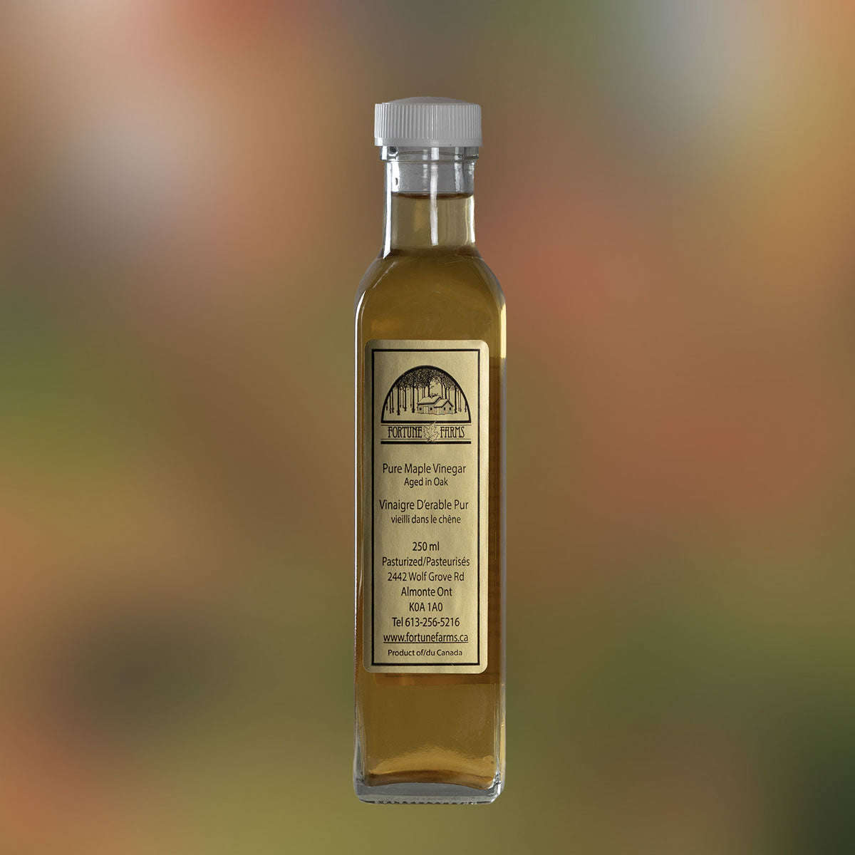 Photo of a single glass bottle of maple vinegar